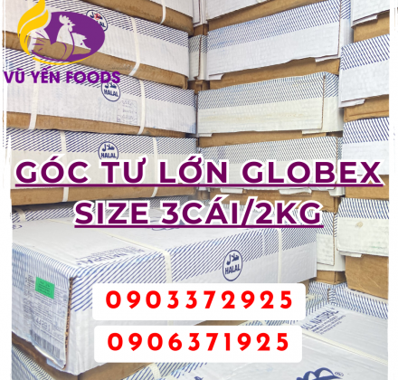 Góc tư lớn Globex Size 3cái/2kg