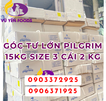Góc tư lớn Pilgrim 15kg Size 3 cái 2 kg