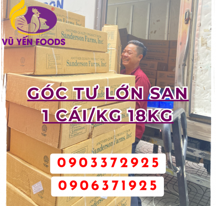 Góc tư lớn San 1 cái/kg 18kg