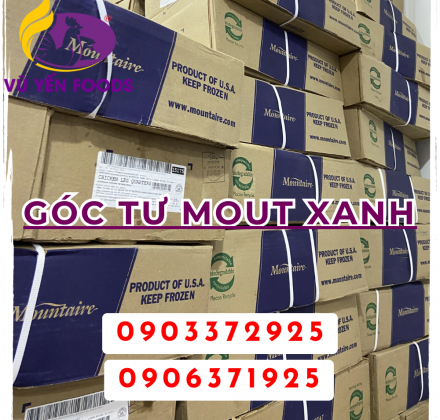 Góc tư Mout xanh