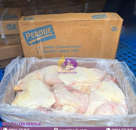 GÀ GÓC TƯ LỚN PERDUE 