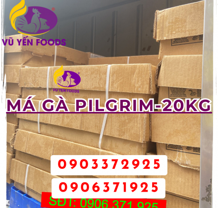 MÁ GÀ PILGRIM-20KG