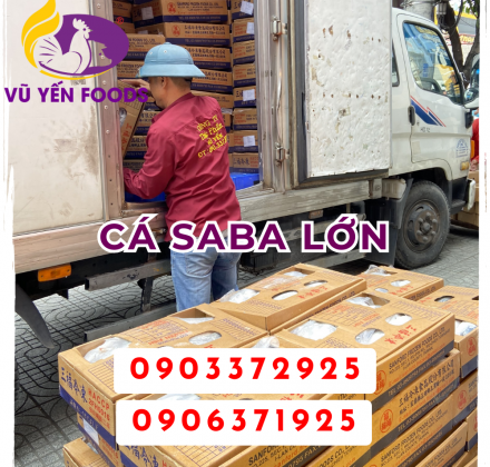 Saba lớn