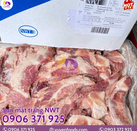 SỤN MẶT TRĂNG NWT 