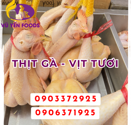 Thịt Gà - Vịt tươi