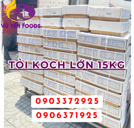 Tỏi Koch lớn 15kg