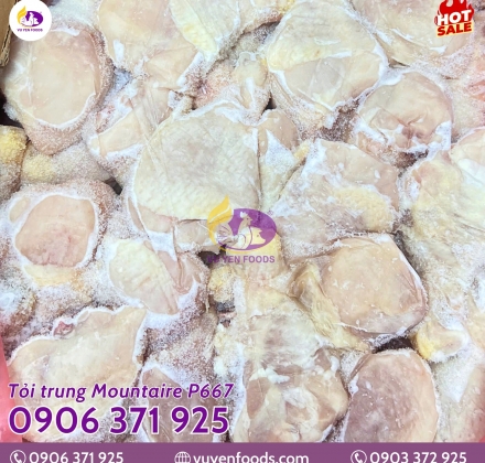 TỎI TRUNG MOUNTAIRE P667