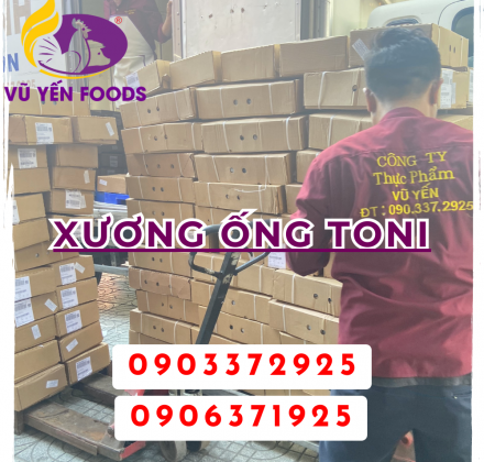 Xương ống Toni