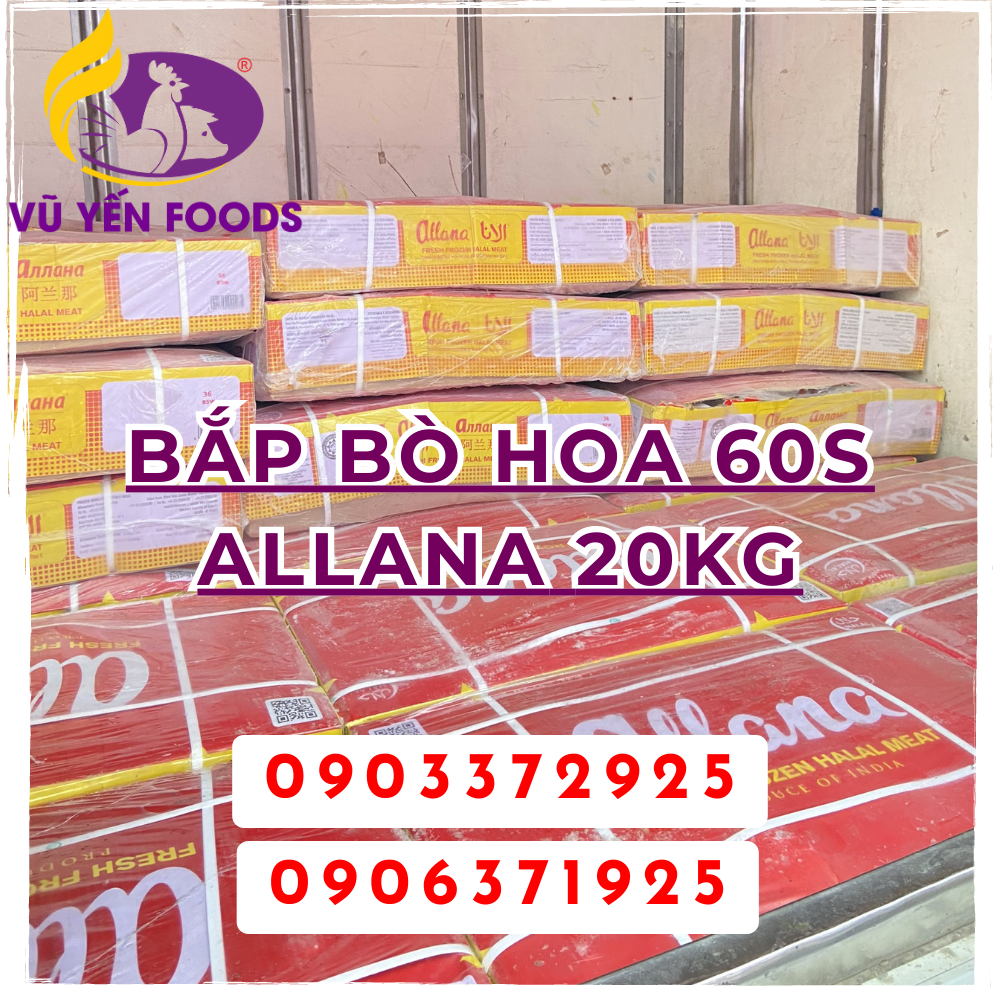 Bắp Bò hoa 60s Allana 20kg