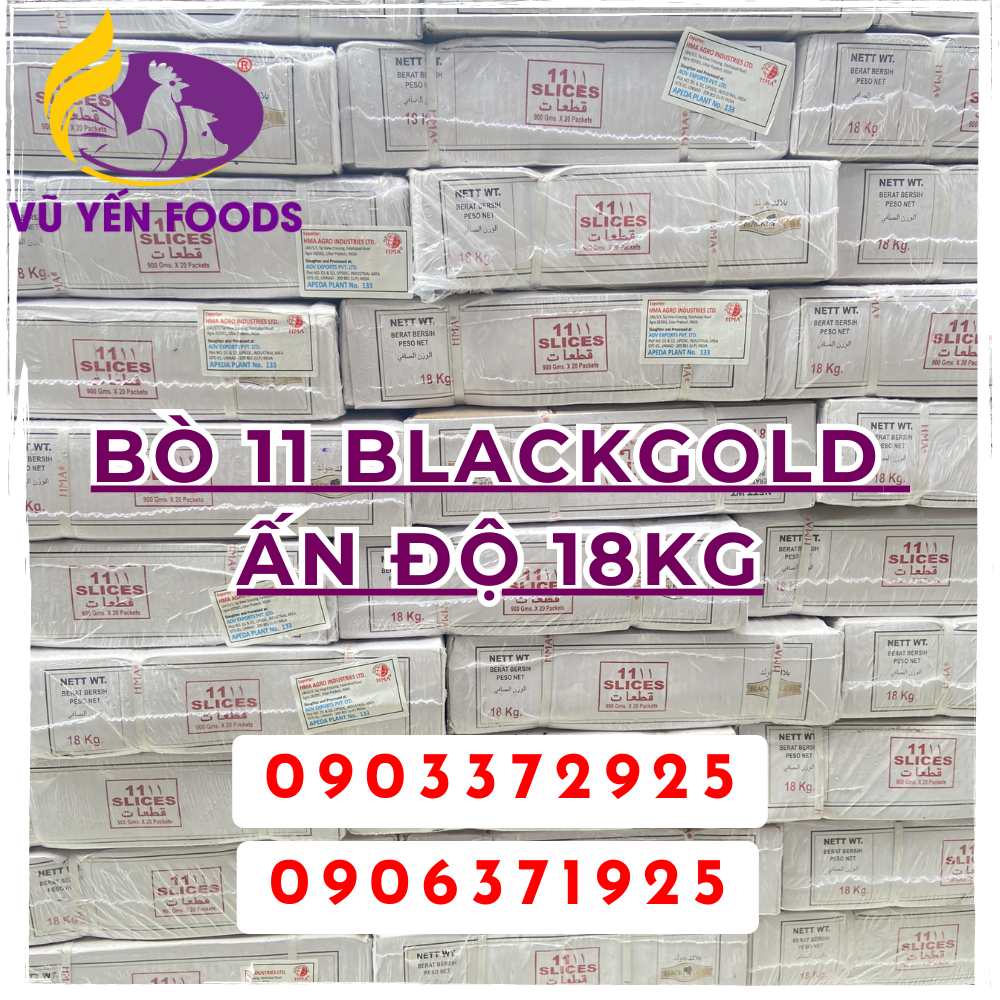 Bò 11 Blackgold Ấn độ 18kg