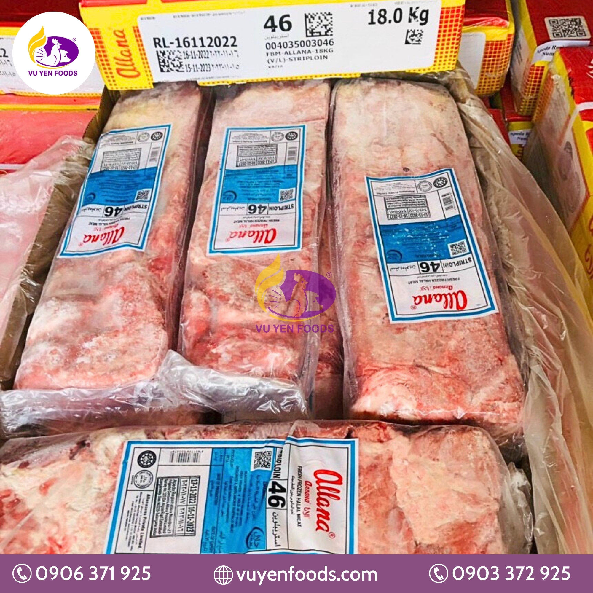 THĂN NGOẠI 46 ALLANA