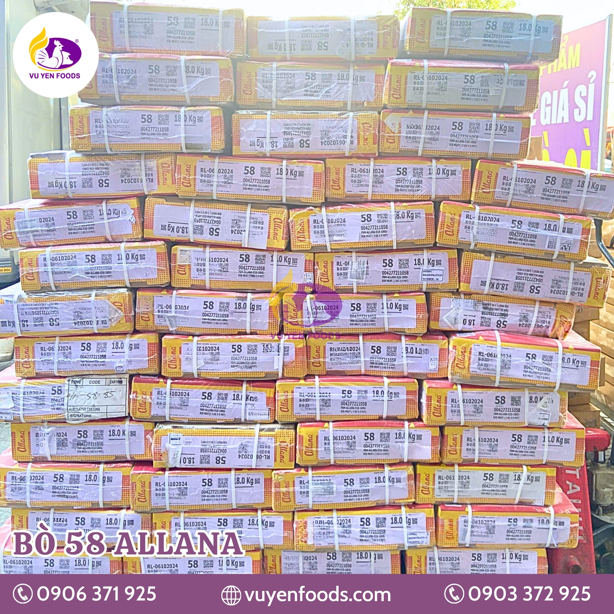 DẺ SƯỜN BÒ 58 ALLANA