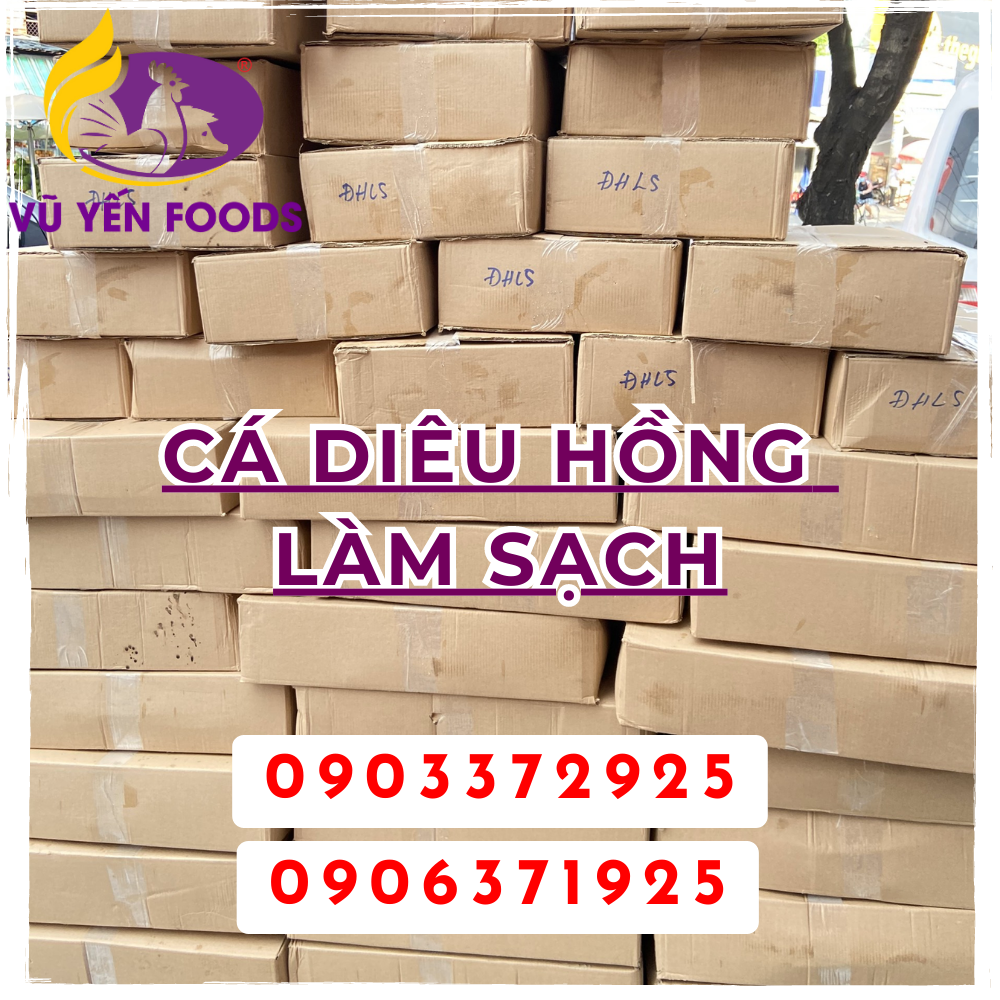 Cá diêu hồng làm sạch