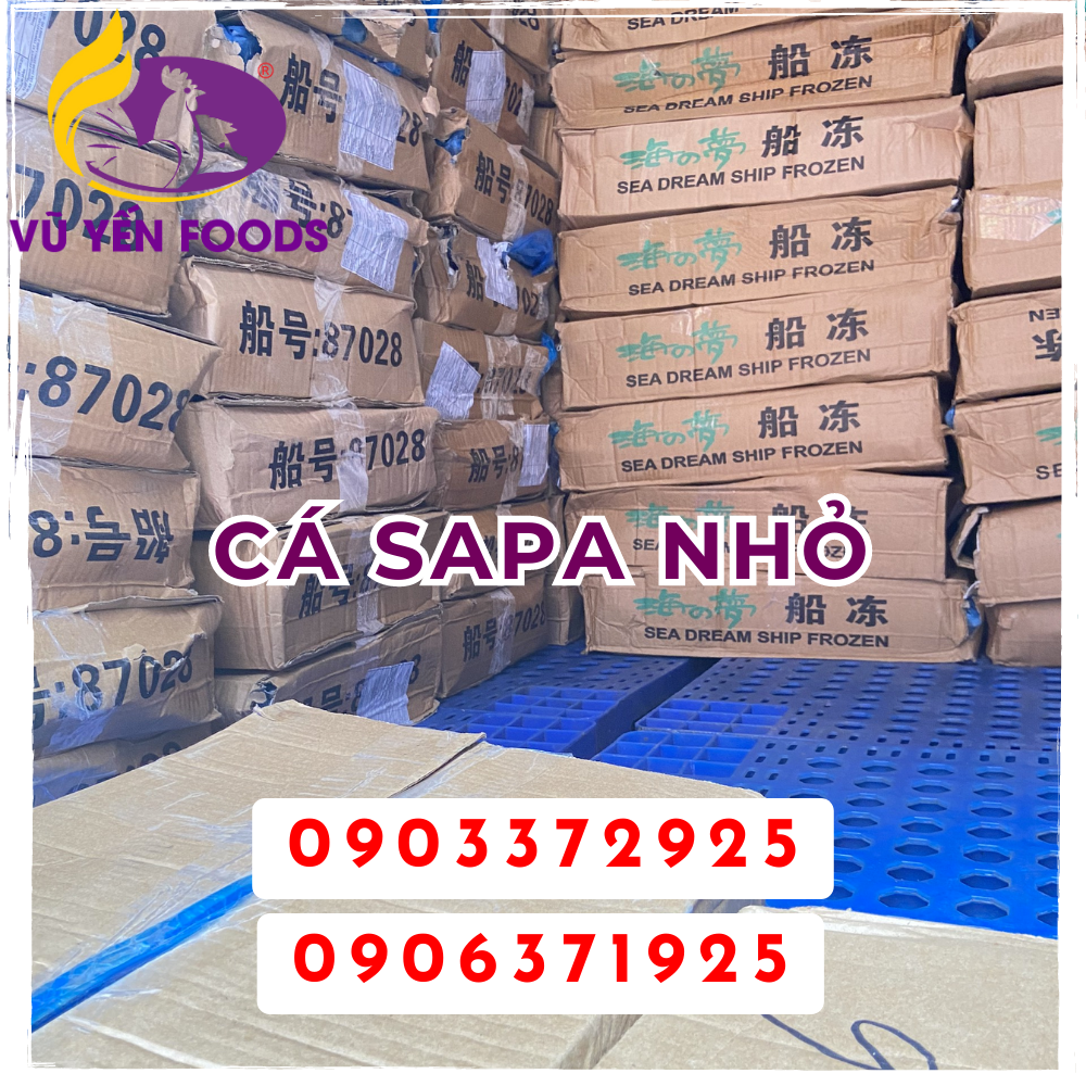 Cá sapa nhỏ 10Kg
