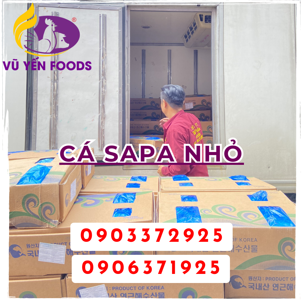Cá Sapa nhỏ