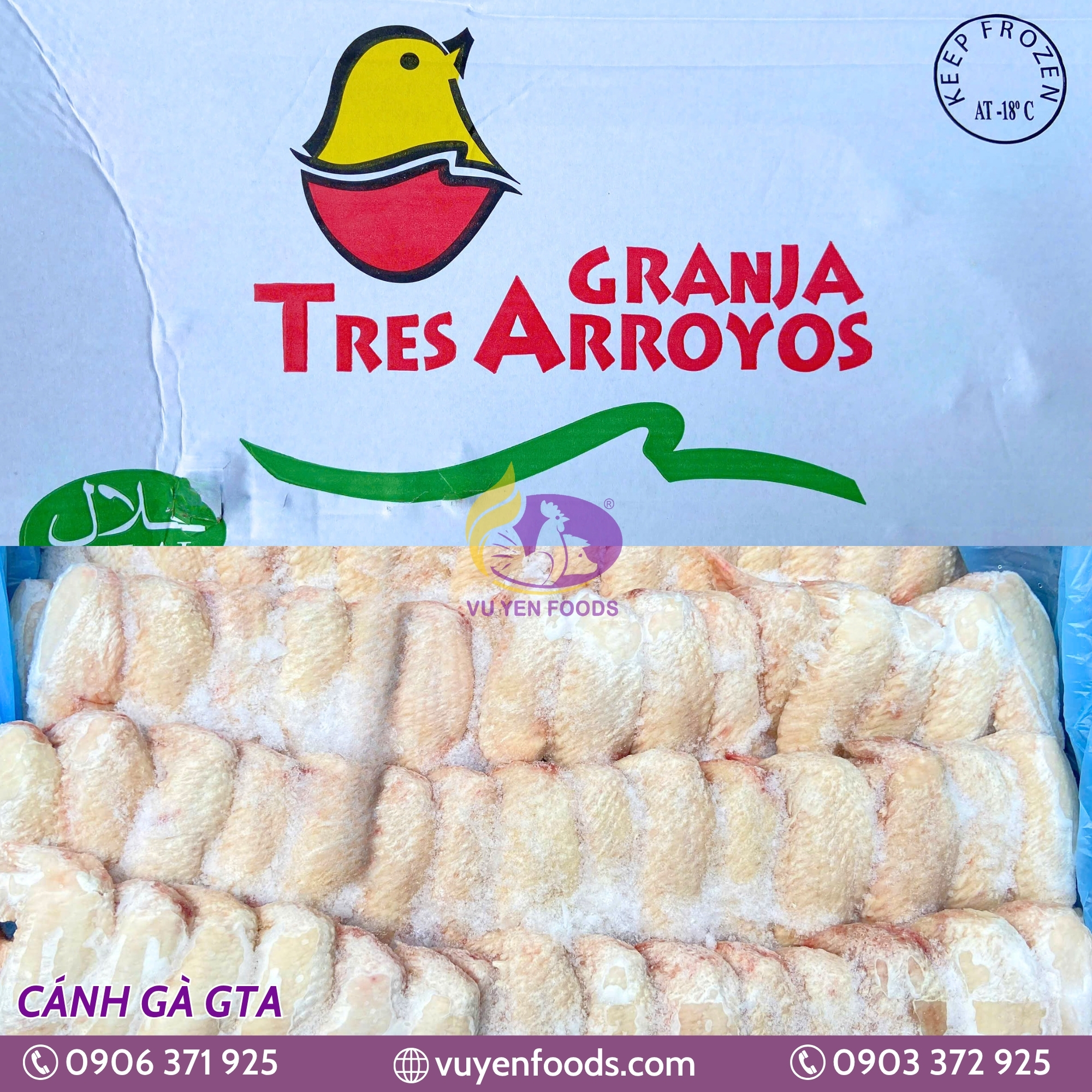 CÁNH GÀ GTA ARGENTINA