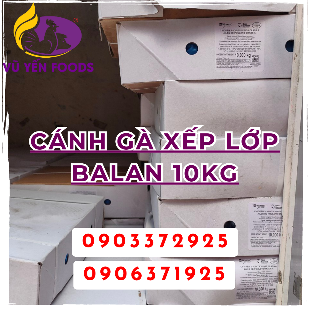 Cánh gà xếp lớp Balan 10kg