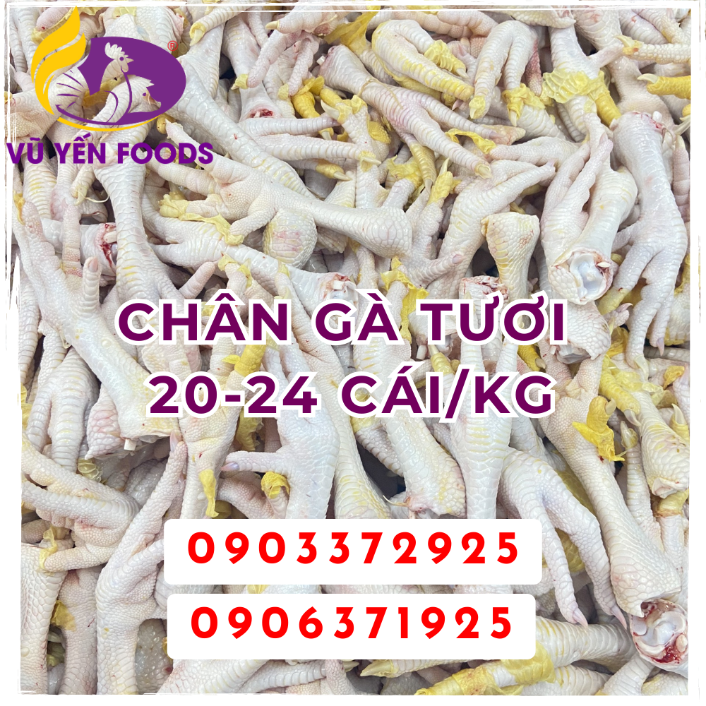 Chân Gà tươi 20-24 Cái/kg