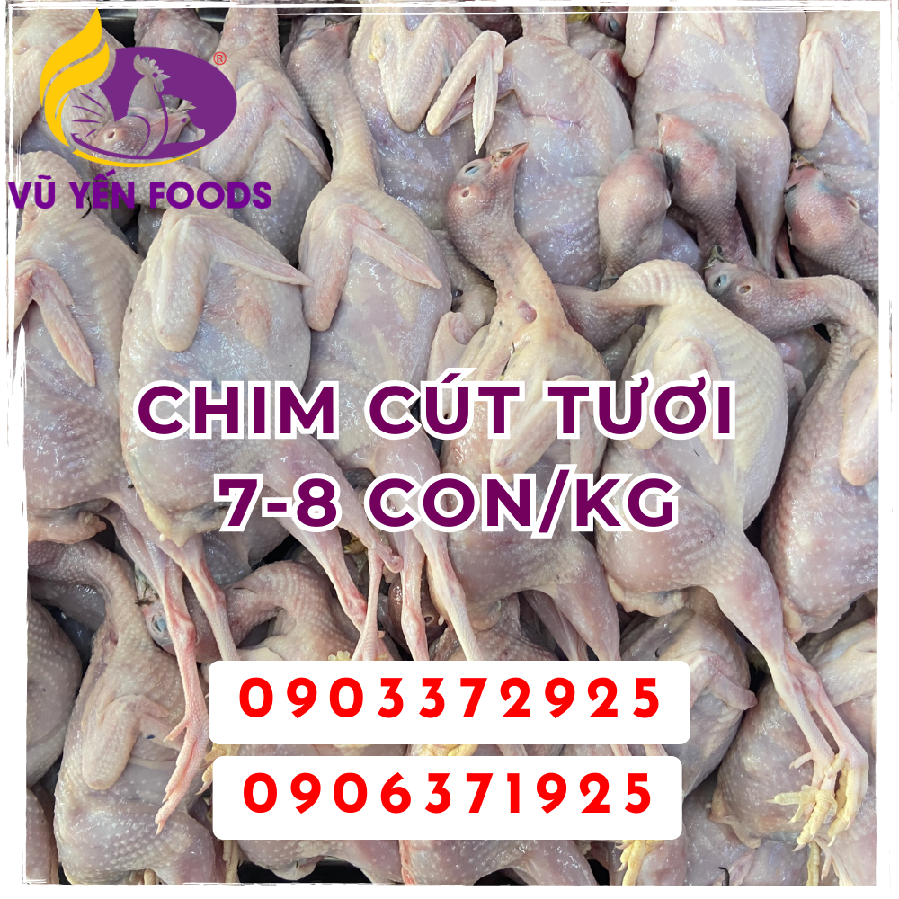 Chim Cút tươi 7-8 Con/kg