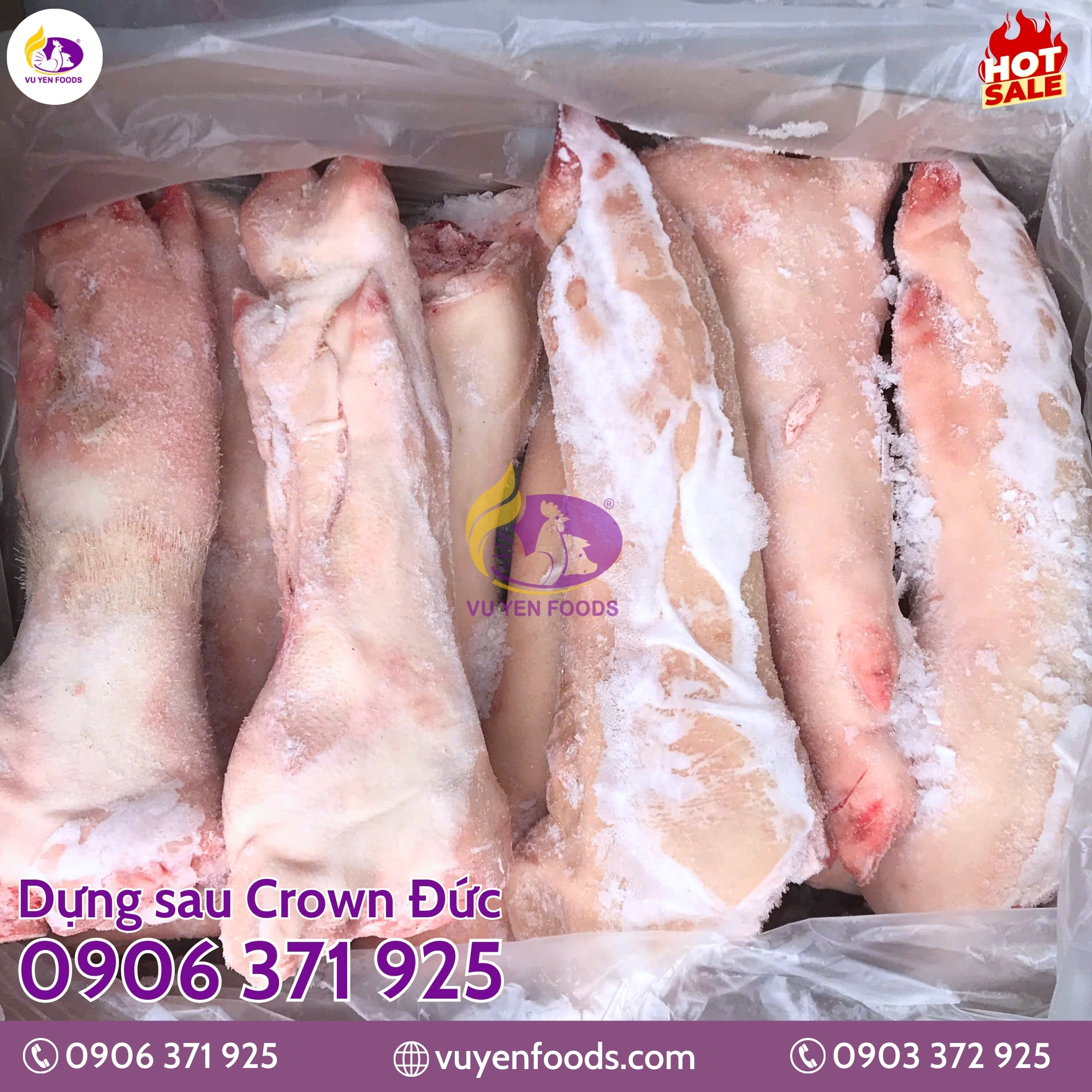 DỰNG SAU CROWN ĐỨC