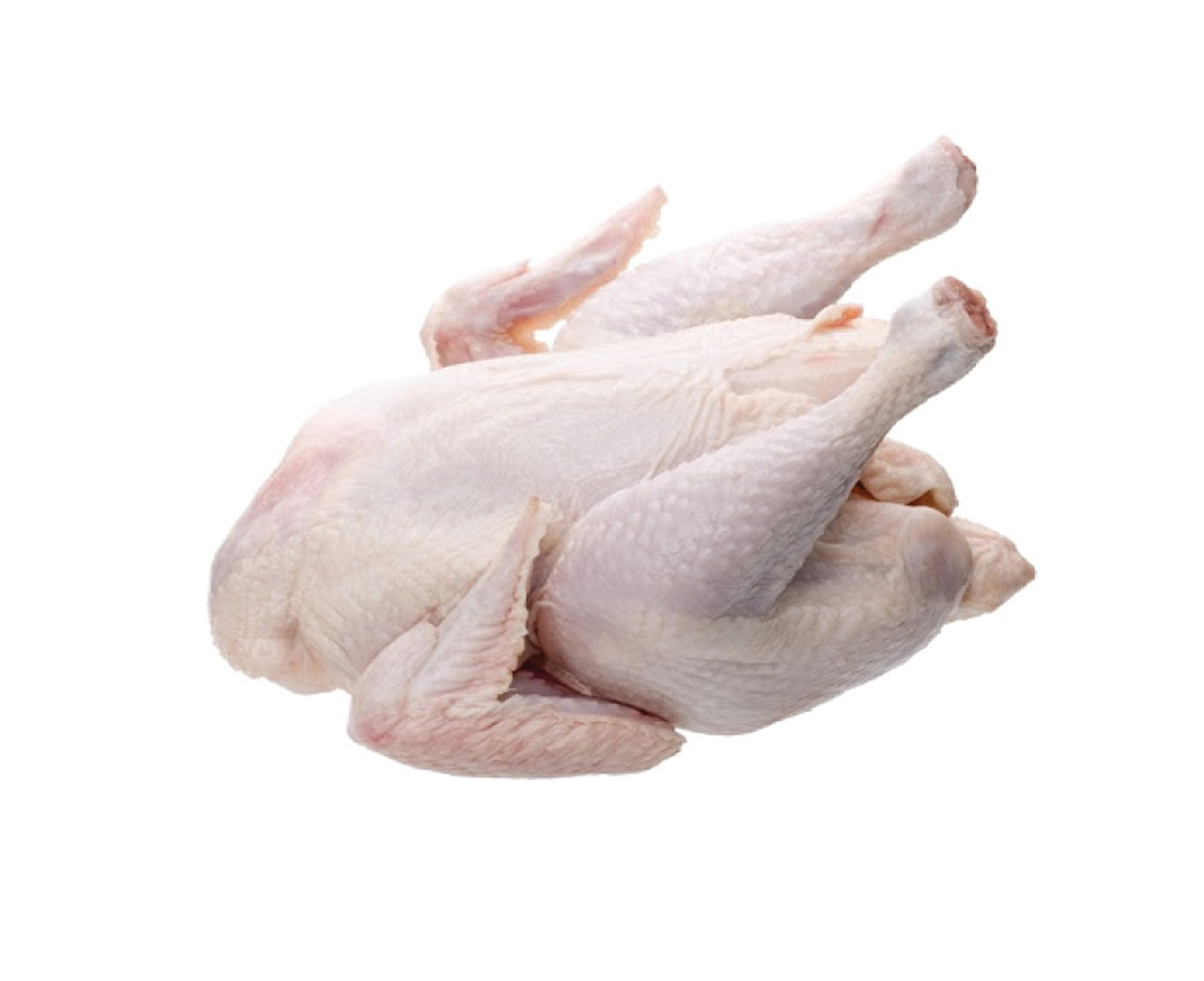 GÀ DAI HÀN QUỐC ĐÔNG LẠNH