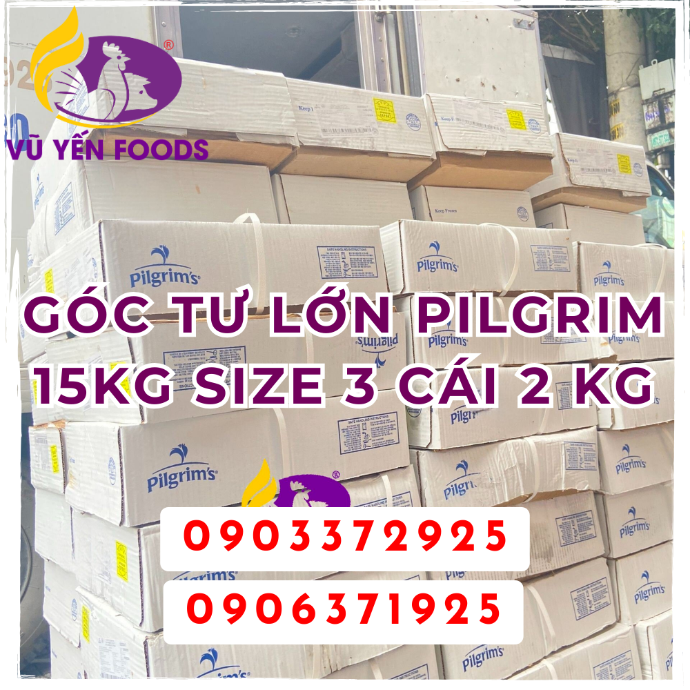 Góc tư lớn Pilgrim 15kg Size 3 cái 2 kg