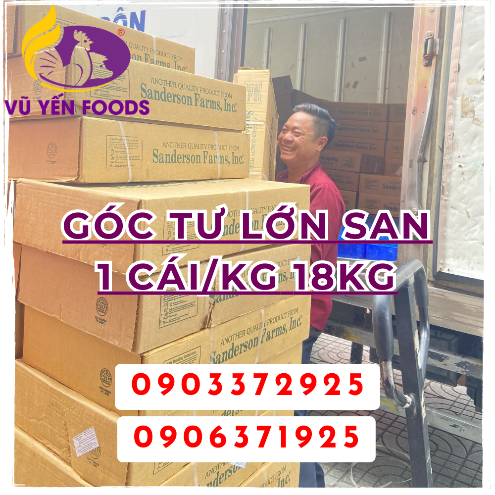 Góc tư lớn San 1 cái/kg 18kg