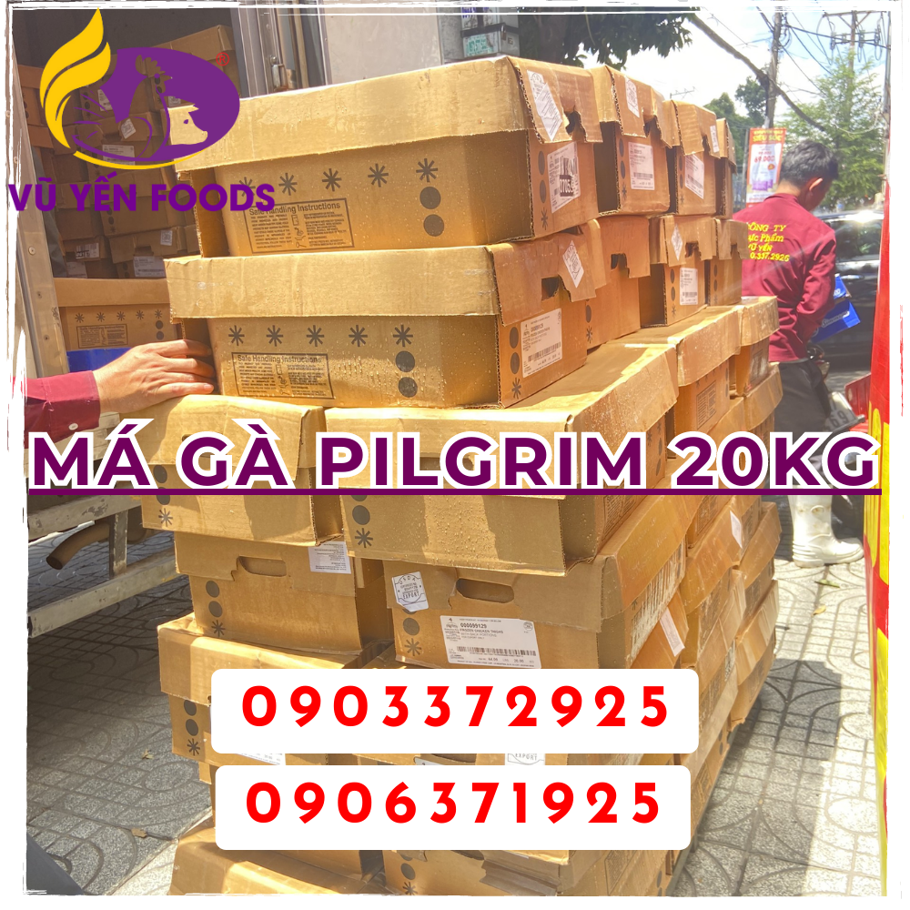 Má gà Pilgrim 20kg