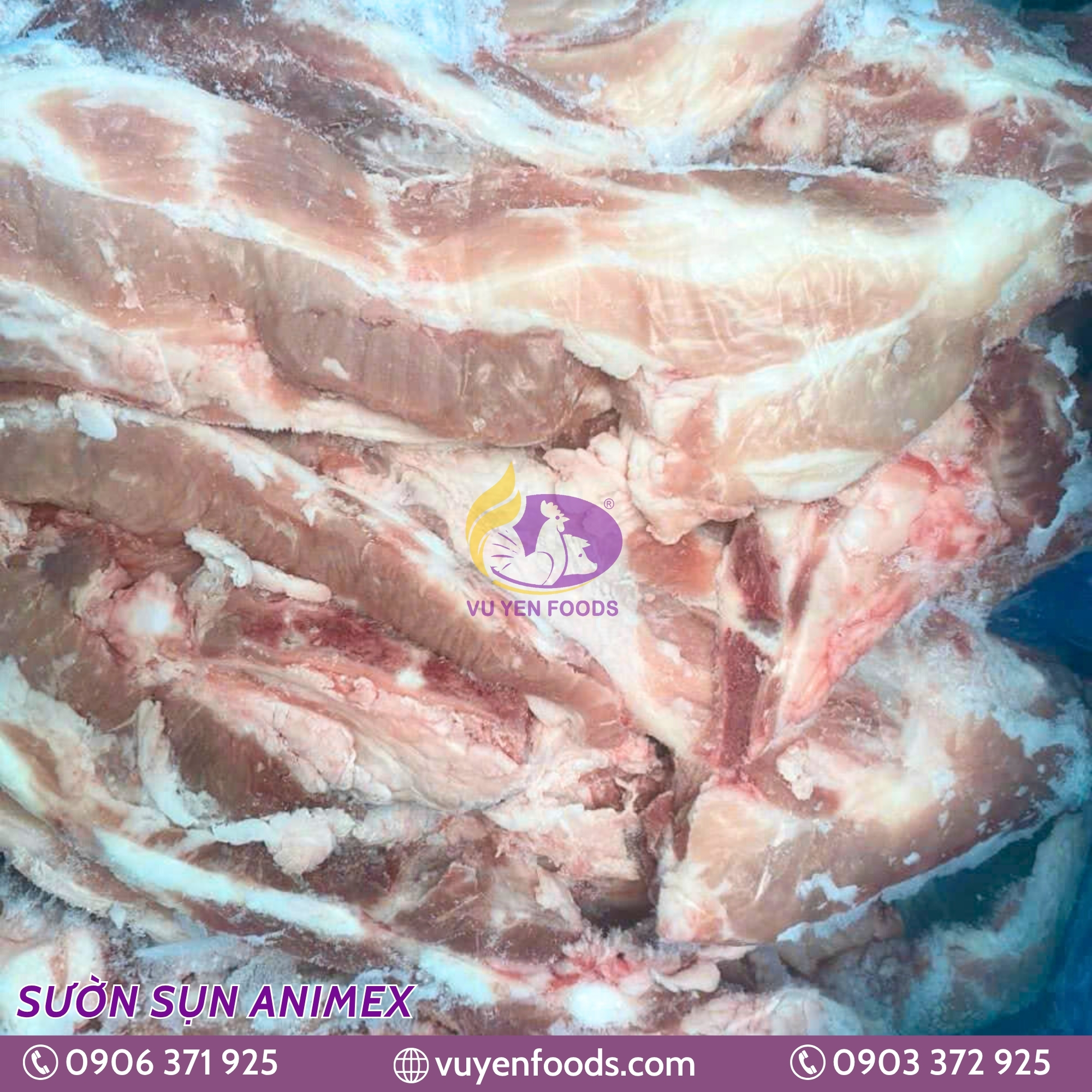 SƯỜN SỤN ANIMEX