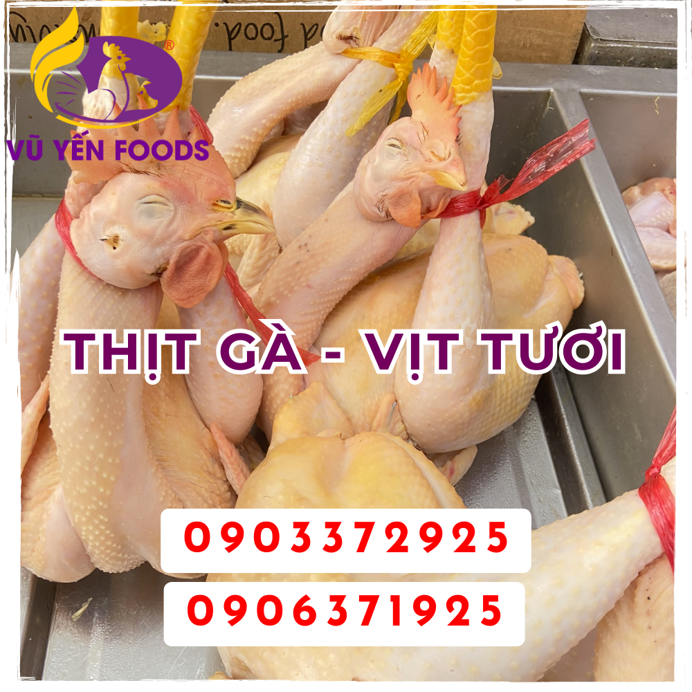 Thịt Gà - Vịt tươi