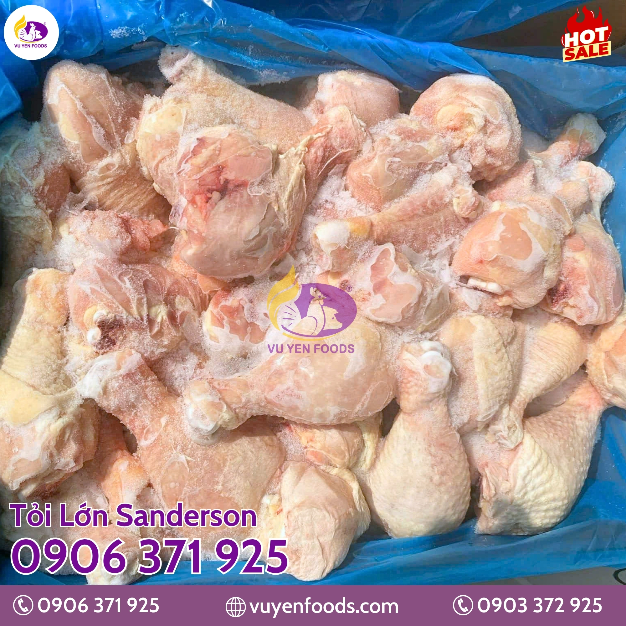 TỎI LỚN SANDERSON