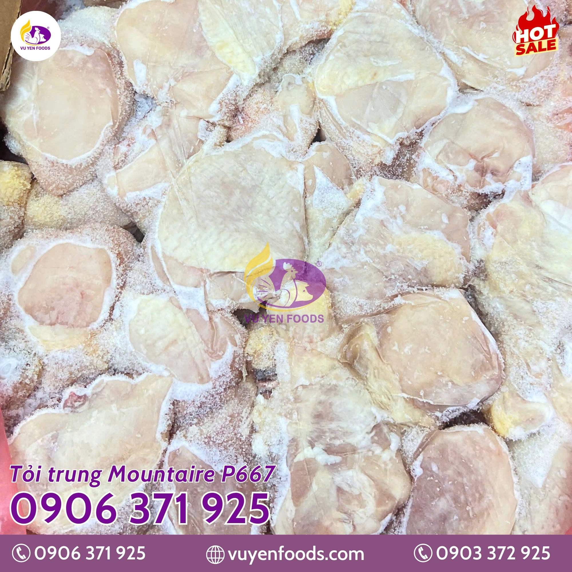 TỎI TRUNG MOUNTAIRE P667