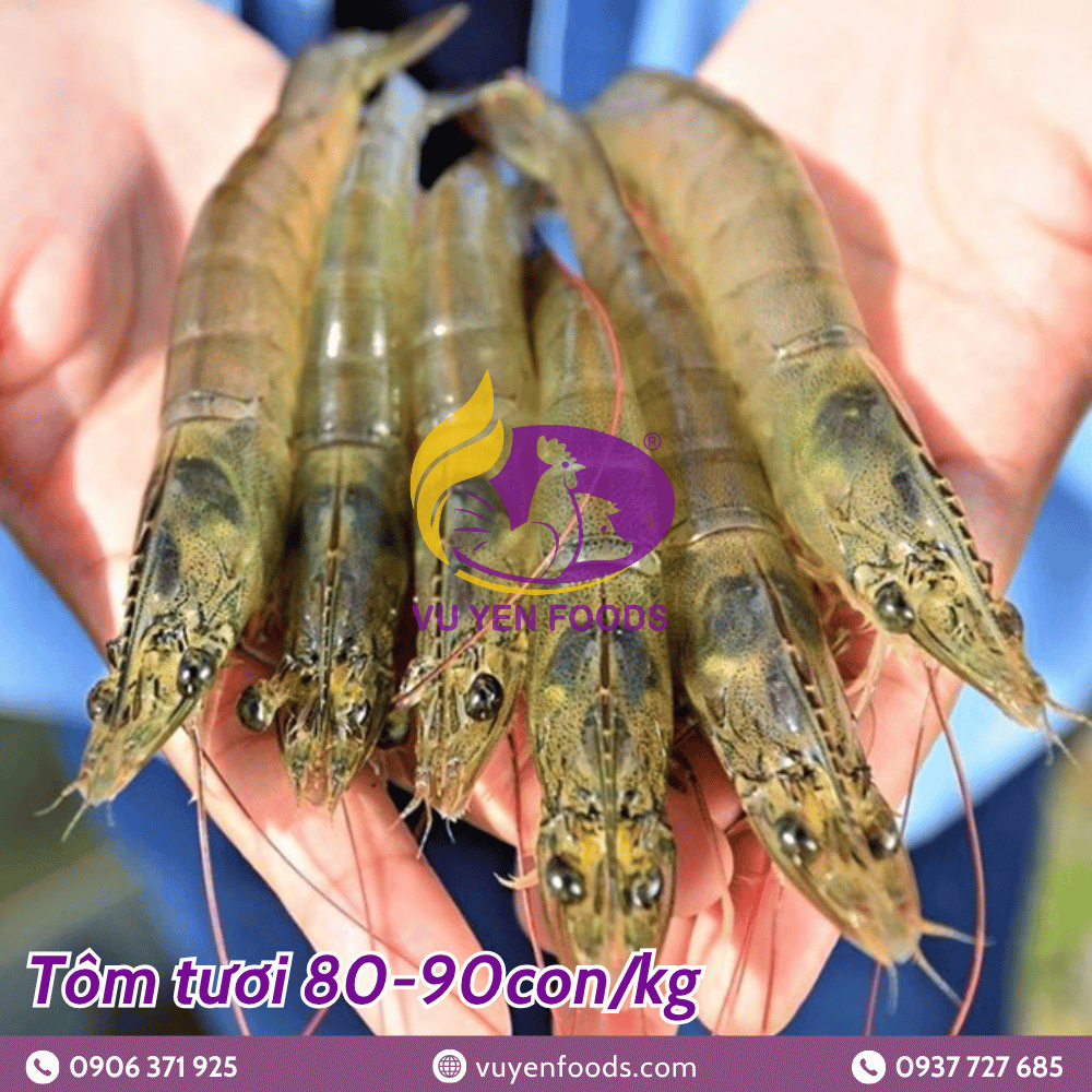 TÔM TƯƠI 80 CON
