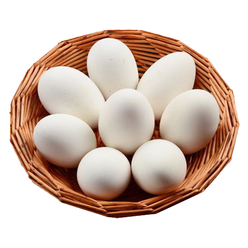 TRỨNG VỊT (23 KG)