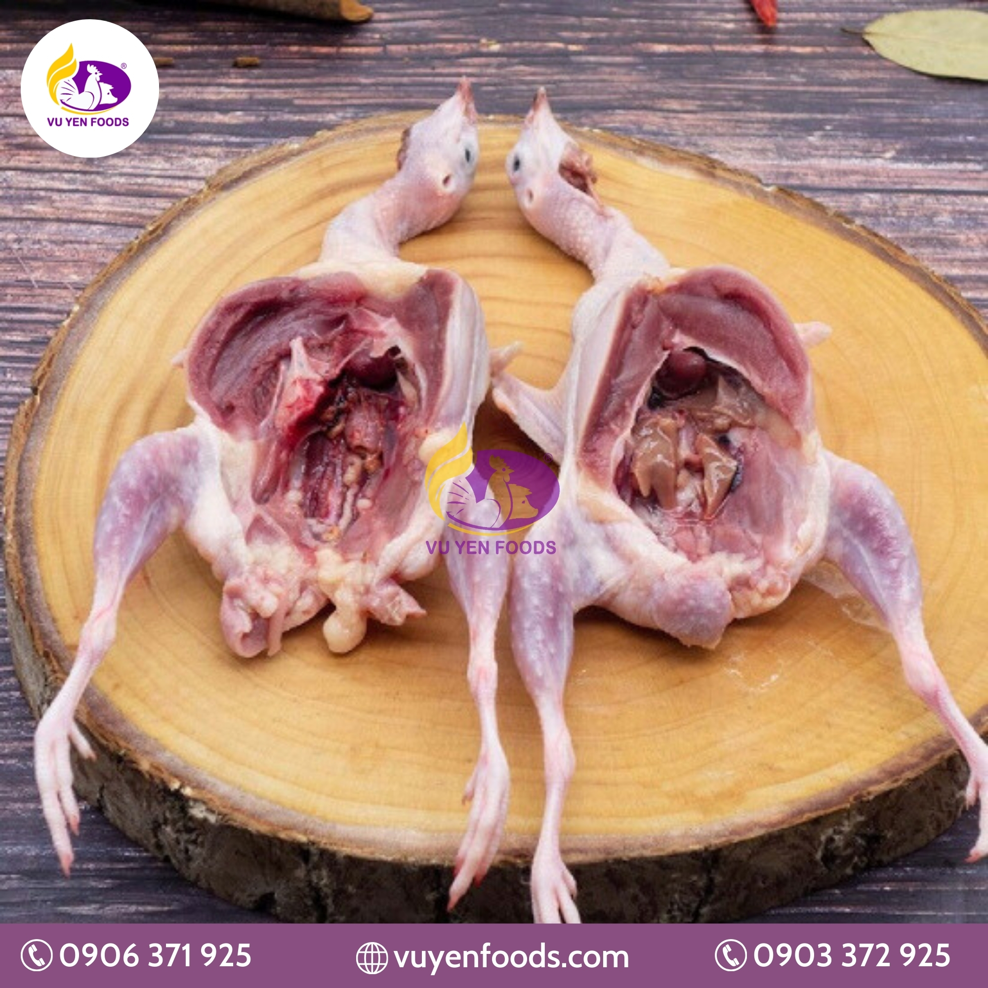  CHIM CÚT LÀM SẠCH BỎ RUỘT