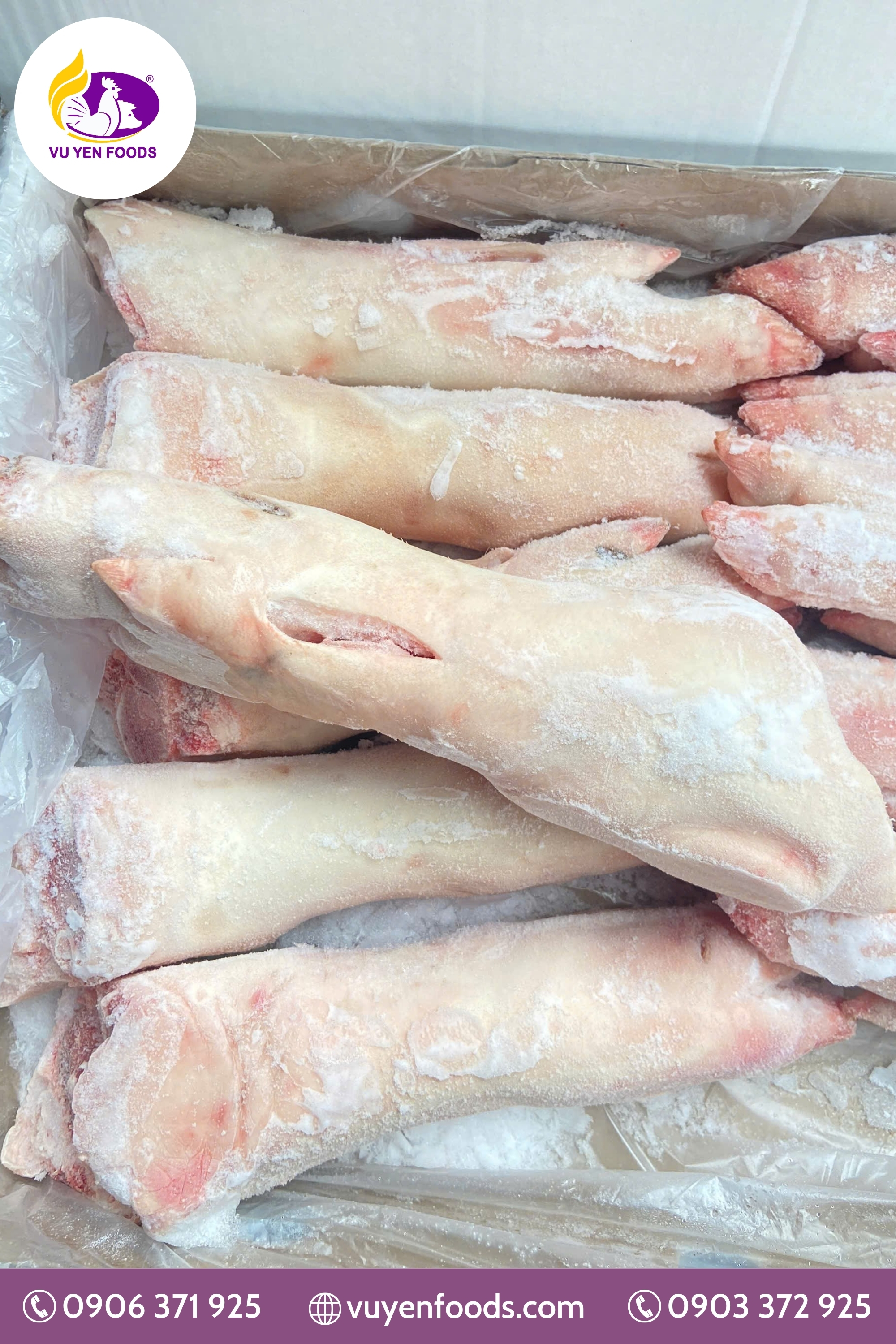 DỰNG SAU ĐÔNG LẠNH