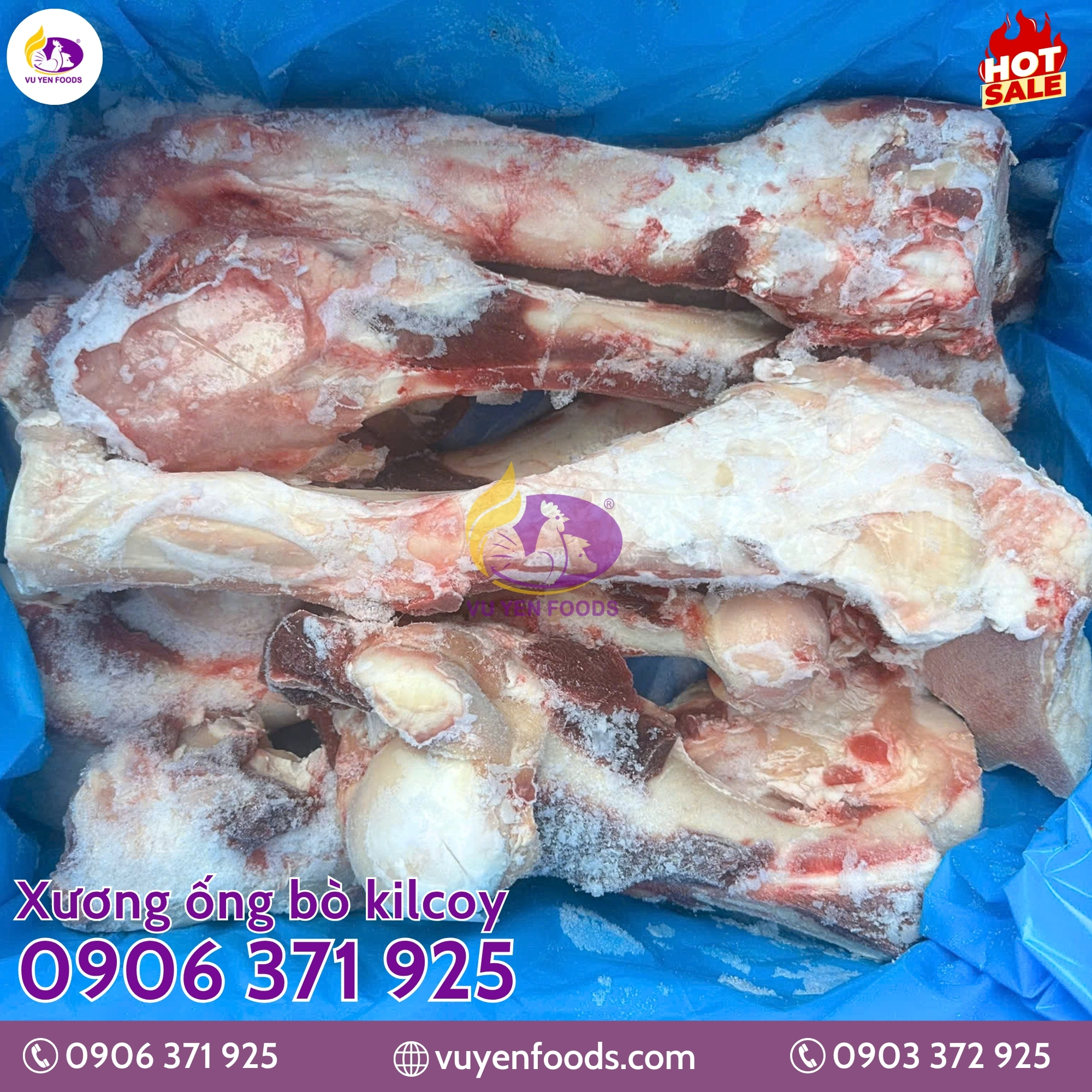 XƯƠNG ỐNG BÒ ÚC KILCOY