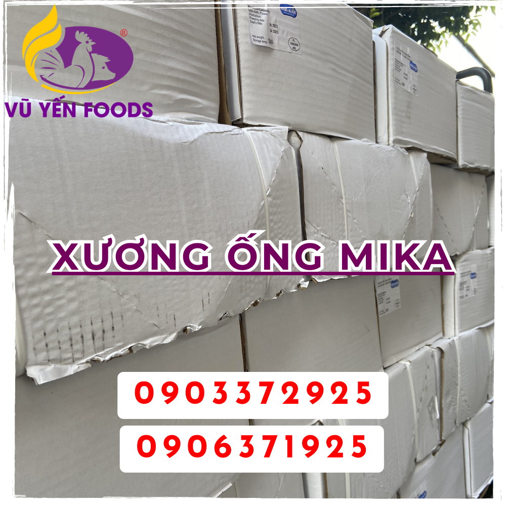 Xương ống Mika