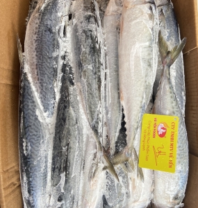 Mua thực phẩm nhập khẩu giá sỉ chất lượng tại quận 1 - Vũ Yến Foods