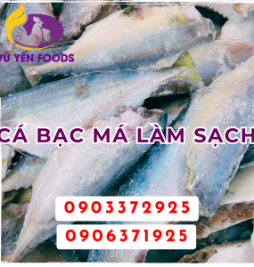 Cá Đông Lạnh Giá Sỉ Cho Căn Tin Trường Học - Vũ Yến Foods