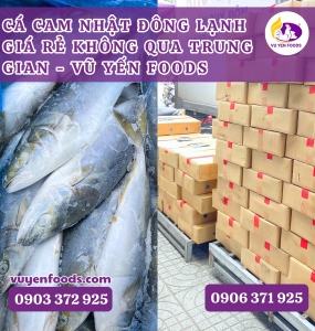 CÁ CAM ĐÔNG LẠNH GIÁ RẺ KHÔNG QUA TRUNG GIAN - VŨ YẾN FOODS